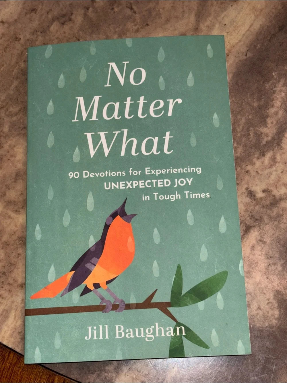No Matter What by Jill Baughan - Teal Cover with Orange Bird